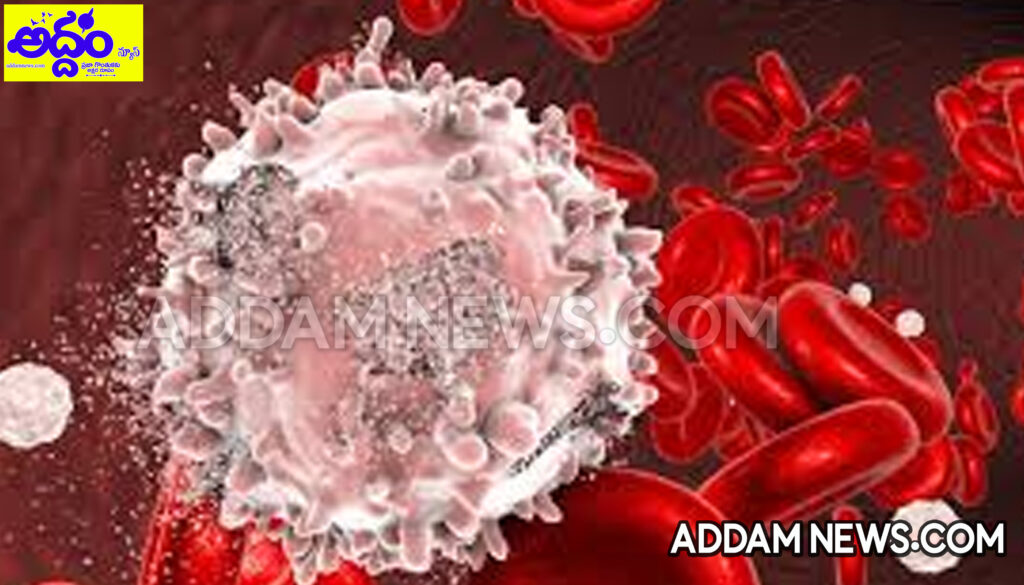 Cancer: ఇంట్లోని కొన్ని వస్తువులు క్యాన్సర్ ముప్పు కలిగిస్తాయా?