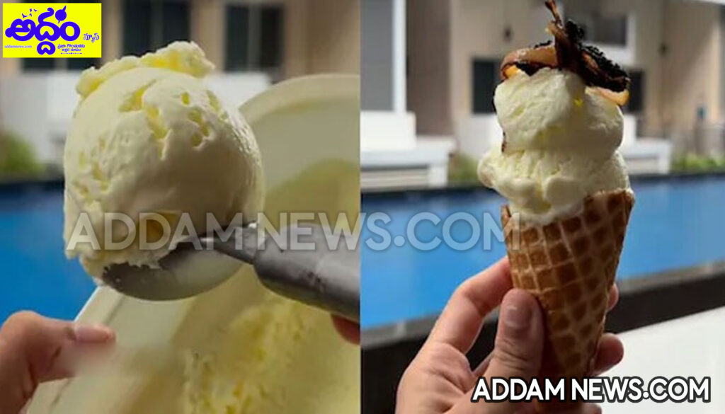 Biryani Ice Cream: బిర్యానీతో ఐస్‌క్రీమా..? సోషల్ మీడియాలో వైరల్!