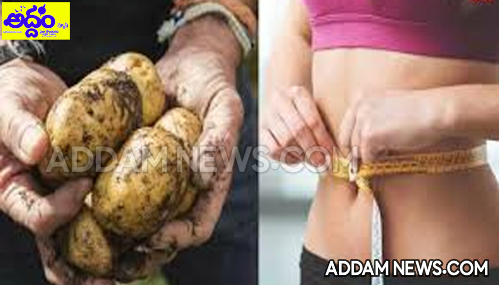 Potatoes: ఆలూ తింటే బరువు పెరుగుతారా..?